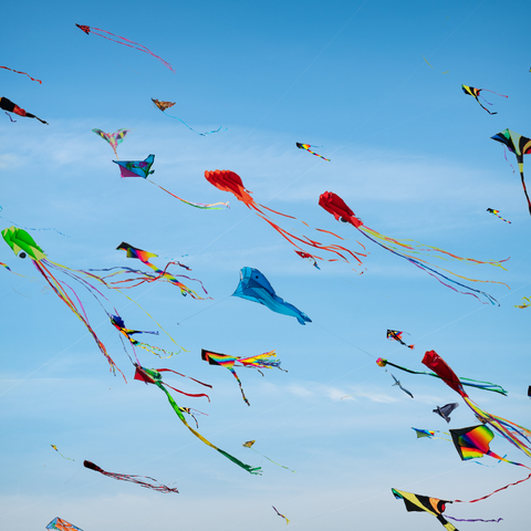 kites outdoors